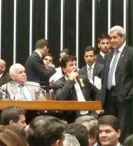 puccinelli-camara