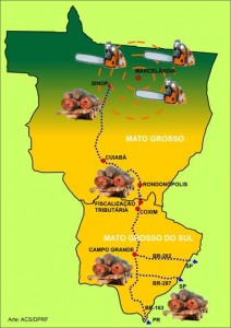 operação-cupim