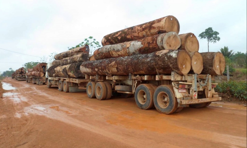 Após 7 anos é pedida prisão de madeireiros e servidores que corroeram cofres públicos