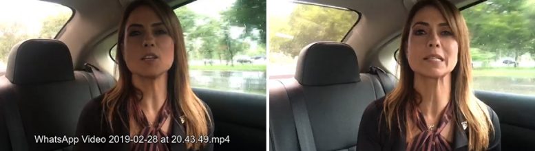 Cadê o cinto, senadora? Thronicke se empolga com Guaidó, condena socialismo e comete infração grave