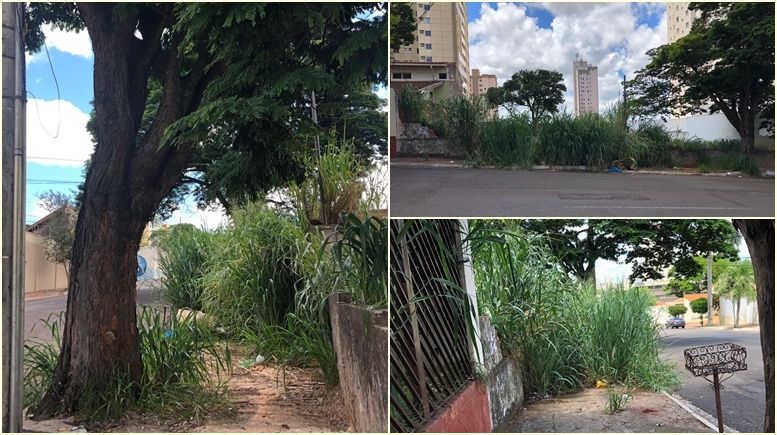 “A ilha do medo” no centro da Capital ameaça e põe em risco moradores e alunos de escola estadual.