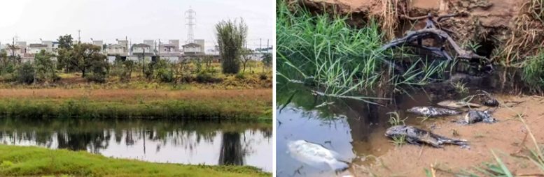 Lago do Damha III está contaminado e Águas avisa que culpa é de esgoto clandestino