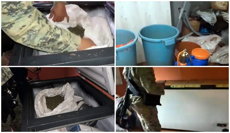 Polícia “fecha” 4 laboratórios que produziam maconha VIP na fronteira. A pura vai pro lixo!