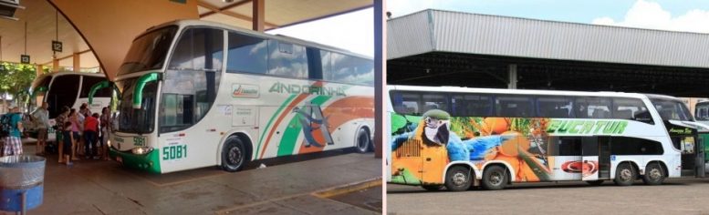 Na estrada da vida! Andorinha não respeita idosos e Eucatur tem que indenizar passageira