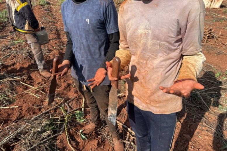 Força-tarefa do MPT e PMA resgata sete paraguaios vítimas de escravidão em Itaquiraí