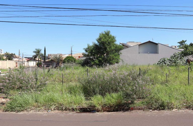 Fiscalização dará 15 dias para limpeza de terrenos irregulares. Os dos ricos também?