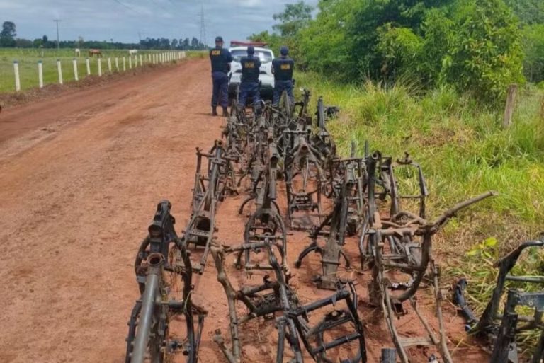 Investigação lenta! GCM chega atrasada e acha 120 quadros de motos em matagal