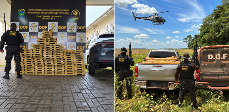 DOF apreende 28 toneladas de drogas e impõe perda de R$ 215 milhões ao crime